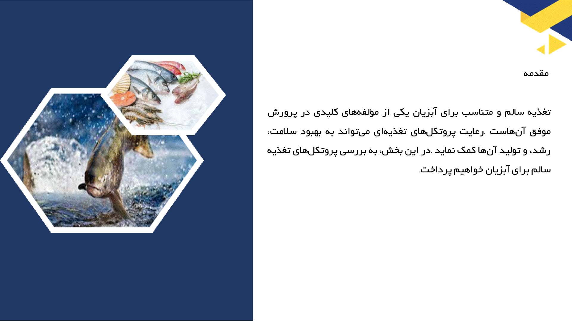 پاورپوینت در مورد پروتکل‌های تغذیه سالم برای آبزیان